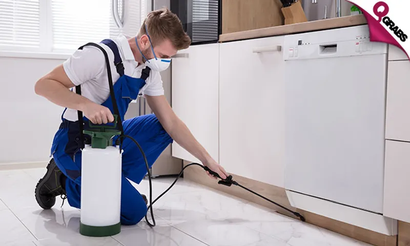 Pest Control Treatment!